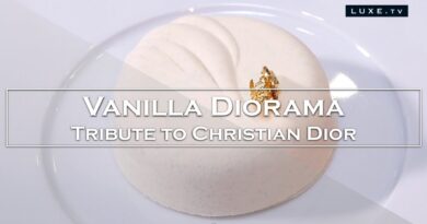 Vanilla Diorama - pastry delight inspired by Christian Dior - LUXE.TV